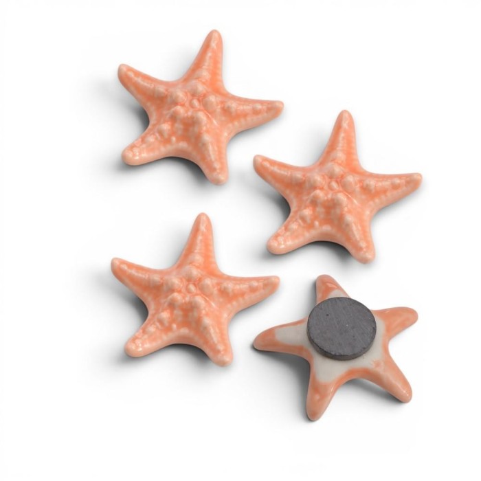 STELLA MARINA CALAMITA SALMONE